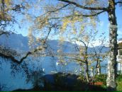 Анна Кравченко фотография #27 (источник - https://vk.com/id5500320)