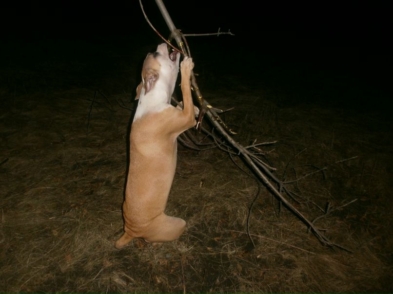 Роман Василенко фотография #32