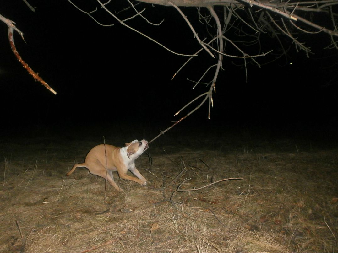 Роман Василенко фотография #42