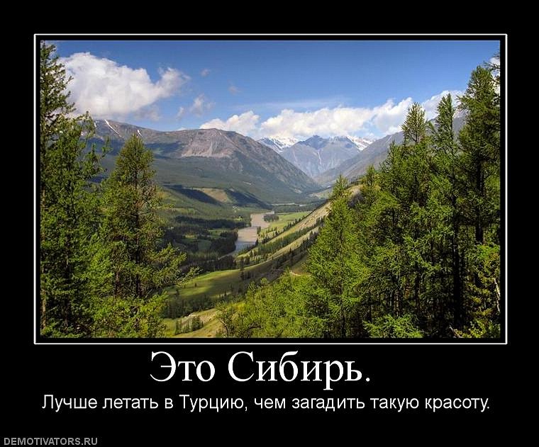 Илья Стафеев фотография #32