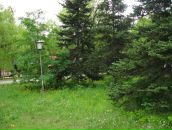 Ростислав Ткаченко фотография #37 (источник - https://vk.com/id6039788)