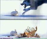 Фотография Колесниковой Ренаты