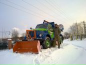 Фотография White Tony