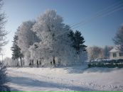 Міша Симонович фотография #17 (источник - https://vk.com/id112931560)