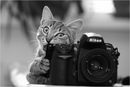 Фотография Олегыча Олега