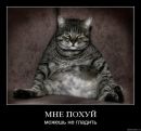 Фотография Черненко Алёны