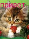 Юля Марків фотография #34 (источник - https://vk.com/id132234243)