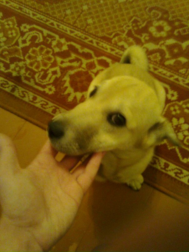 Дмитрий Дорофеев фотография #49