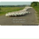 Евгеній Сидорець фотография #47 (источник - https://vk.com/id164315019)