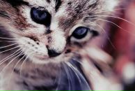 Фотография Румянцевой Оли