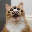 Фотография Удавкина Серафима