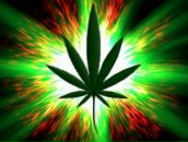 Ілля Микитюк фотография #18 (источник - https://vk.com/id131881333)