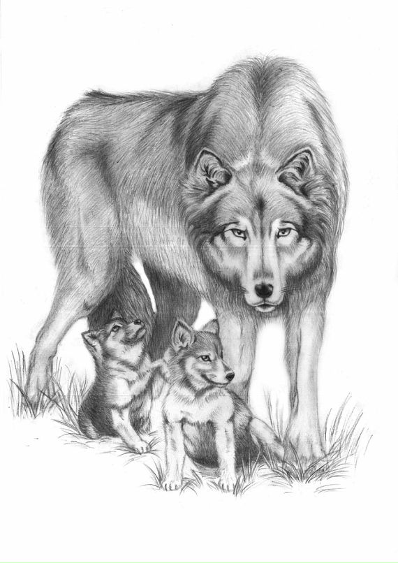 Настёна Орлова фотография #28