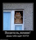 Фотография Крысина Александра