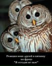 Фотография Веселкова Дмитрия