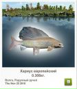 Ігор Королішин фотография #11 (источник - https://vk.com/id61590978)