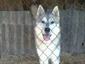 Фотография Анатольевича Дмитрия