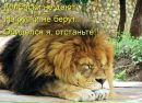 Іван Ващак фотография #8 (источник - https://vk.com/id169281520)
