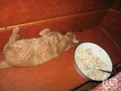 Фотография Лазарева Андрея