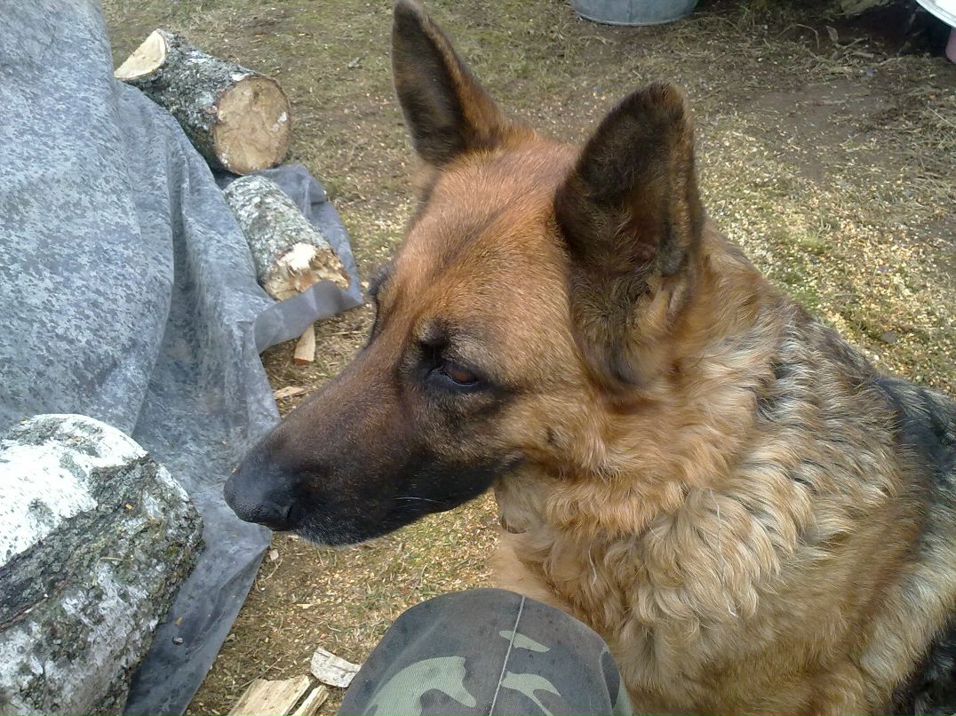 Игорь Хомич фотография #32