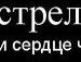 Вікторія Николюк фотография #44 (источник - https://vk.com/id144328205)
