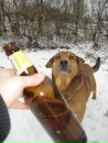 Рокі Пес фотография #1