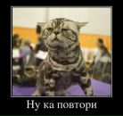 Фотография Кудряшова-Разовская Анастасия