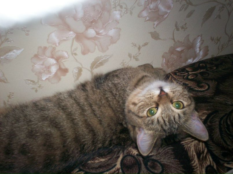 Юлия Деваева фотография #12