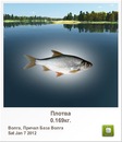 Катя Семенів фотография #16 (источник - https://vk.com/id150644712)