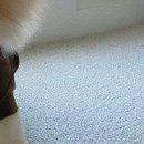 Олеся Матвійчук фотография #50 (источник - https://vk.com/id50923906)