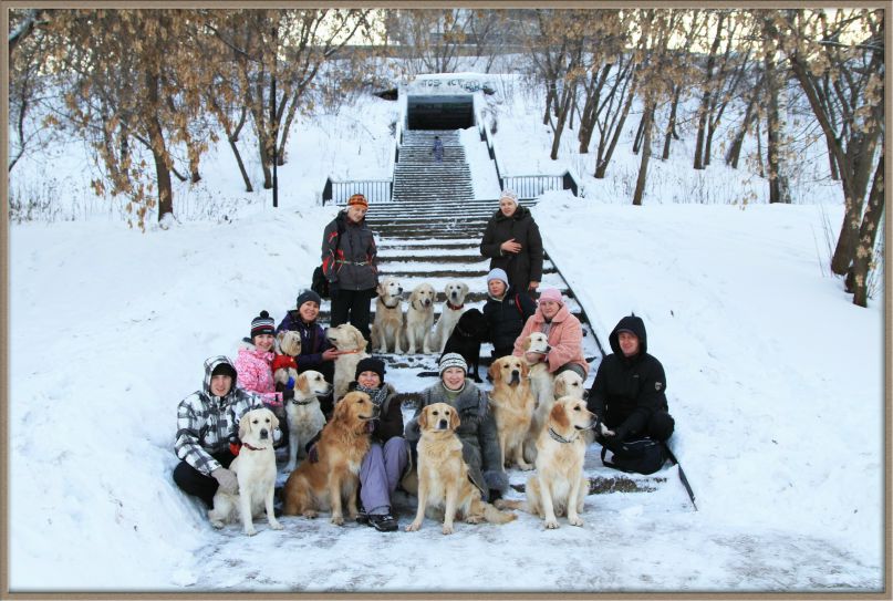 Игорь Соловьев фотография #49