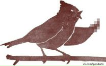 Ростислав Вікович фотография #9 (источник - https://vk.com/id13628428)