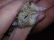 Стас Думітрюк фотография #40 (источник - https://vk.com/id76801948)