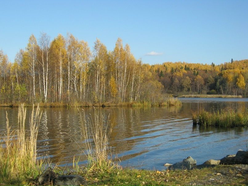 Виктор Косарев фото №12