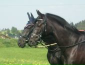 Фотография Кугаппи Кристины