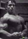 Arnold Schwarzenegger фотография #6 (источник - https://vk.com/id7532927)