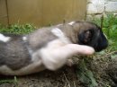 Юра Кучмій фотография #48 (источник - https://vk.com/id35677850)