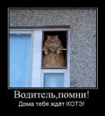 Анатолій Д фотография #12 (источник - https://vk.com/id38993689)