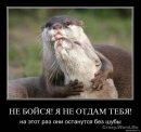 Лєра Лєрочка фотография #15 (источник - https://vk.com/id58026918)