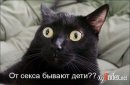 Діма Музика фотография #16 (источник - https://vk.com/id204382614)