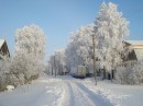 Фотография Трофимова Алексея