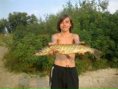 Фотография Седина Александра