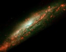 Фотография Ветлинского Александра