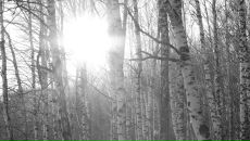 Фотография Ермаковой Марины