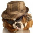 Фотография Андреева Игоря