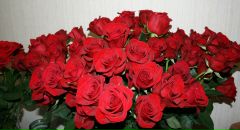 Фотография Панфиловой Ирины