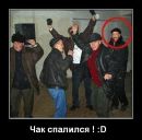 Діма Жук фотография #10 (источник - https://vk.com/id146285897)