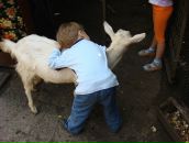 Софья Борушкина фотография #35 (источник - https://vk.com/id266218)