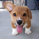 Фотография Пилипчука Владислава