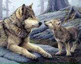 Фотография Букиной Светланы